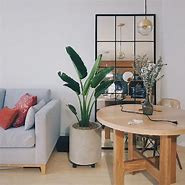 Image result for Plant Home Decor Ideas