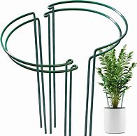 Image result for Metal Half Round Plant Supports