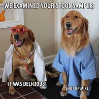 Image result for Doctor Dog Meme