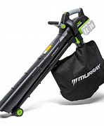 Image result for Battery Powered Leaf Blower Vacuum