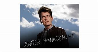Image result for Brian Austin Green Anger Management