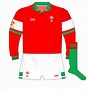 Image result for Ladies Rugby Shirts