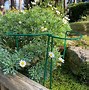Image result for Flower Garden Plant Supports