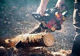 Image result for Chain Saw Accidents