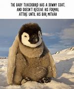 Image result for Funny Facts