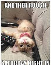 Image result for Saturday Night Cat Memes