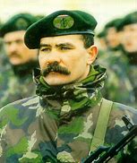 Image result for Hungarian Military Uniform