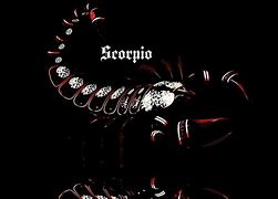 Image result for Cool Scorpion Wallpaper
