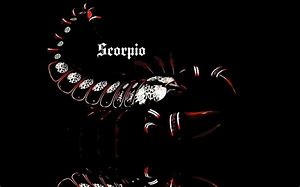 Image result for Cool Scorpio