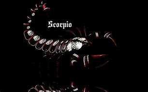 Image result for Abstract Scorpion Backgrounds