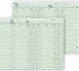 Image result for Ledger Sheets Double Entry (1000Ct)