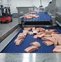 Image result for Cryogenic Food