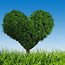 Image result for Tree with Hearts