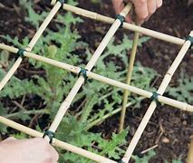 Image result for DIY Peony Plant Supports