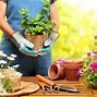 Image result for Garden Services