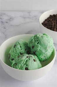 Image result for Mint Chocolate Chip Icea Cream Pairs