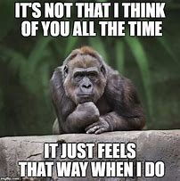 Image result for Funny Thinking of You Happy Thoughts
