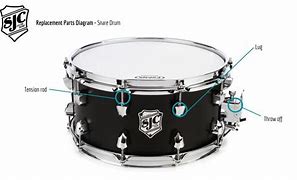 Image result for Bass Drum Parts