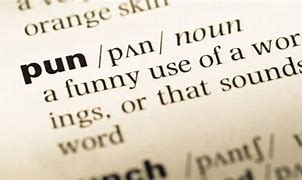 Image result for Dictionary Pun
