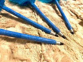 Image result for Blue Feather Pen