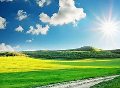 Image result for Sunny Day