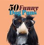 Image result for Fun Dog Puns