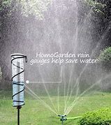 Image result for Sunset Vista Design Studios Garden Stake Rain Gauge, Cardinal