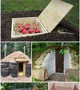 Image result for Homemade Root Cellar
