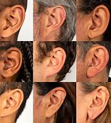 Image result for Different Ear Shapes Human