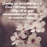 Image result for Good Morning Sayings for Him