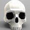 Image result for Free 3D Skull