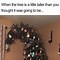 Image result for Christmas Tree Humor
