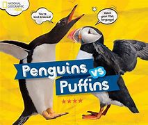Image result for National Geographic Kids Penguins