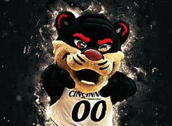 Image result for UC Bearcats Wallpaper