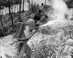 Image result for Okinawa WW2