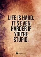 Image result for Quotes On Stupidity