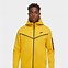 Image result for Jordan Hoodie White and Gold