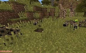Image result for Wizard Animals Mod