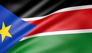 Image result for South Sudan Government Structure