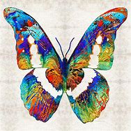 Image result for Artistic Butterfly