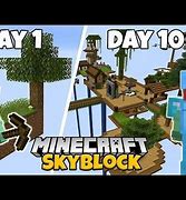 Image result for Skyblock Java Map