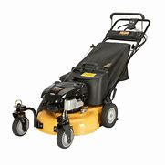 Image result for Walk Behind Lawn Mowers