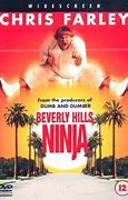 Image result for Chris Farley Undercover Beverly Hills Ninja