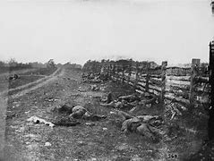 Image result for Antietam Dead