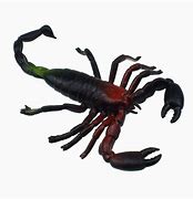 Image result for Scorpion Toys