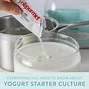 Image result for Yogurt Starter Culture Powder