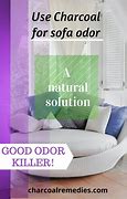 Image result for Sofa Odor Remover