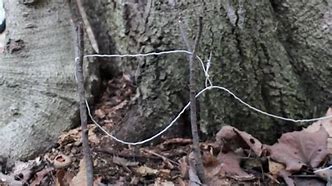 Image result for Simple Snare