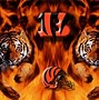 Image result for Fire Tiger Warrior