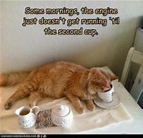Image result for Funny Good Morning Coffee Jokes